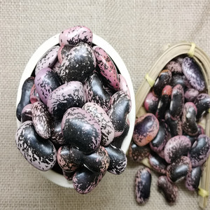 新货云南农家大黑花芸豆 肾豆大花豆牛眼豆五谷杂粮500g二件包邮