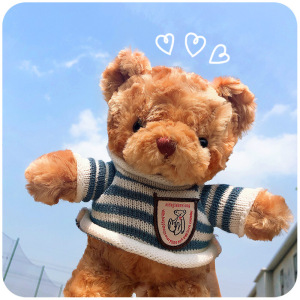 ins风韩国泰迪小熊玩偶毛绒可爱婴儿床上安抚抱枕宜家娃娃小公仔