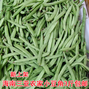 小豆角3斤装海南三亚农村蔬菜新鲜四季豆黑豆扁豆农产品食用包邮