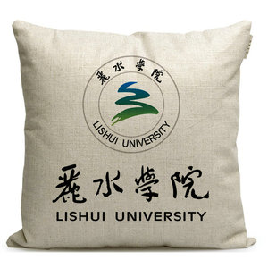 浙江丽水学院纪念品周边定制毕业生礼品学校徽章沙发棉麻靠垫抱枕