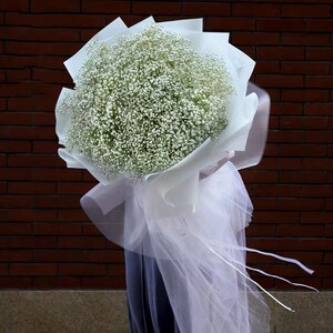 大束满天星干花花束生日鲜花河南省安阳市林州市内黄县同城店送花