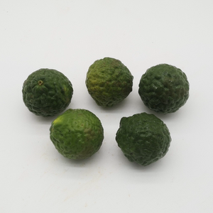 新鲜粗皮柠檬 丑柠檬 皱皮柠檬青柠檬 10个 泰国菜泰国餐厅用