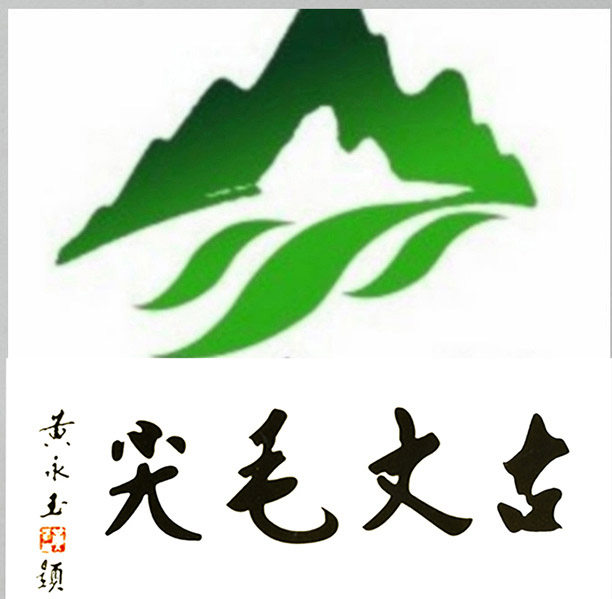 湖南茶叶 古丈毛尖特级 毛尖2015新茶嫩芽 明前有机绿茶自产自销
