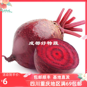 基地直供甜菜头红菜头特色新鲜食材顺丰包邮 Beetroot 500克