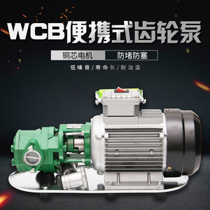 WCB电动抽油泵齿轮泵大流量高粘度自吸式柴油机便携式手提齿轮泵