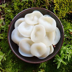 白木耳特级玉木耳兔耳菌东北干货特产长白山精品小碗耳250g包邮