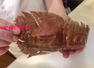 新鲜野生琵琶虾