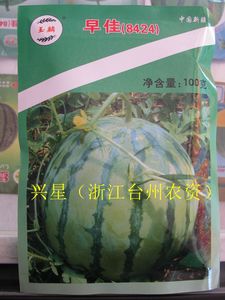 玉麟早佳8424西瓜种子 100克 2000粒左右 2021新种子已换新包装