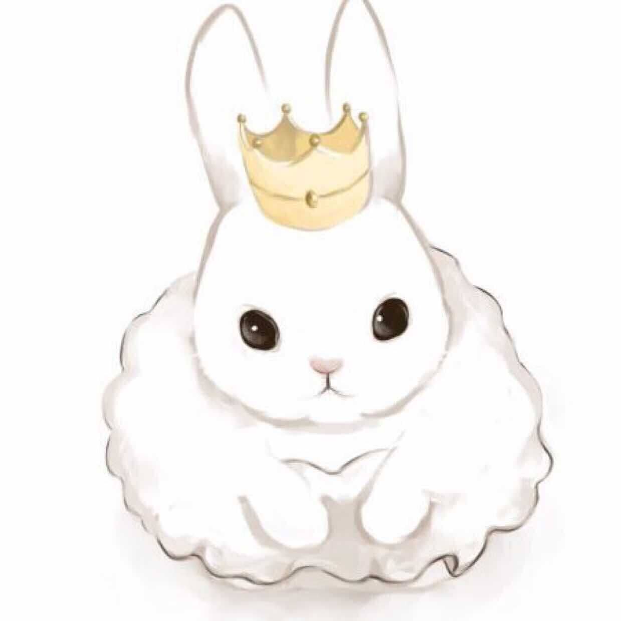 【兔小姐】 alice水果成年兔粮 兔子粮食饲料 含苹果菠萝木瓜草莓