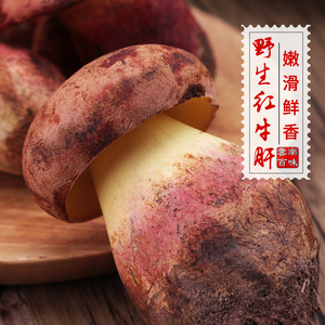 2024新鲜红葱牛肝菌云南特产野生菌见手青红牛肝菌食用蘑菇500g