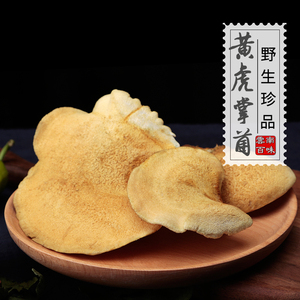 2022新鲜黄虎掌菌云南特产楚雄野生菌菇煲汤素食火锅非香磨菇500g