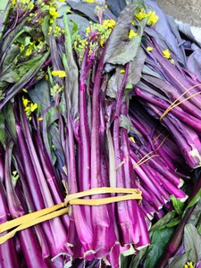 80liulian135520520淘宝新鲜红菜苔农家霜打紫菜苔油青菜心贵州特产