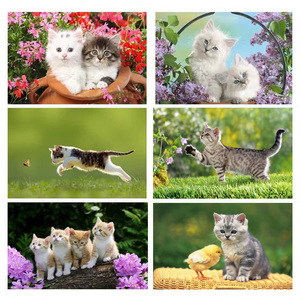 小猫海报招财猫可爱动物萌宠白猫咪图片宠物店自粘壁纸装饰贴画纸