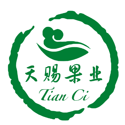 天赐果业正宗山东沾化冬枣新鲜现摘脆枣非大荔陕西水果大冬枣3斤