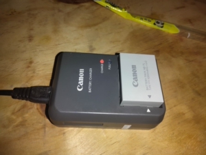 佳能g10 g11 g12 sx30 is相机充电器   n