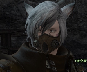 手工代肝 ff14 战场 狼印 pvp 最终幻想14