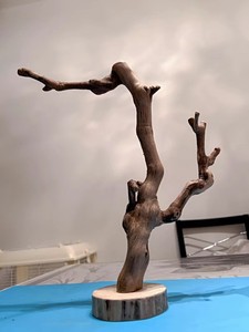 原木树杈文玩手串摆件小鸟鹦鹉架手串首饰木毛笔架展示架树枝树干