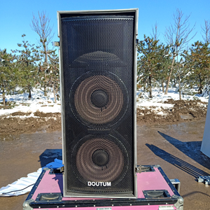 000人付款淘宝博顿boutum音响原装正品,250w,只有单个,无主机无法t