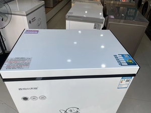 西冷冰柜家用小型