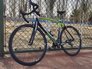 美利达斯特拉905