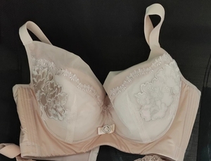 【兰黛芬内衣】兰黛芬内衣品牌,价格 - 阿里巴巴