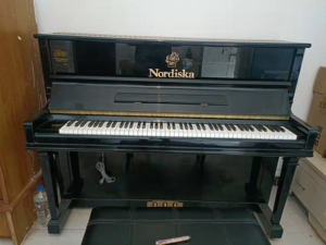 诺蒂斯卡钢琴