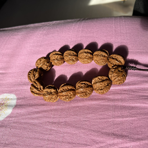 多棱大粗筋,龙脊背野生小核桃手持