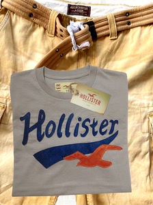 AF海鸥Hollister男装绝版老款t恤厚实a&f复古风格