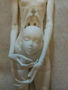 000人付款淘宝机械鸟bjd 高亮d 超级美 正已绝版tb962997276