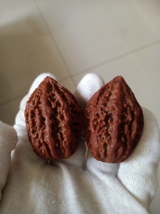 纯野生东北八棱秋子,自己老家山里长的,自己开的青皮,自己深清