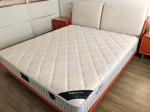 床垫处理,给钱就卖,雅宝床垫,给钱就卖,自取!