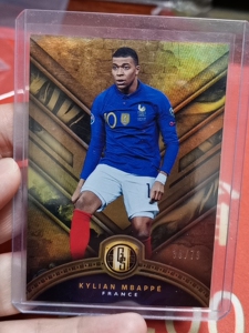 panini 帕尼尼 球星卡 金砖系列 姆巴佩 法国队 79