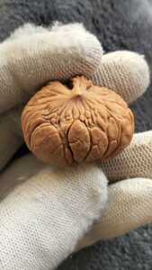 蛇头异形文玩核桃单只纯天然生长全品三无熟的倍好一点毛病没有