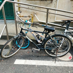 捷安特28寸普通自行车图片