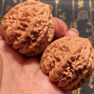 野牛狮子头文玩核桃