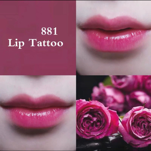 000人付款淘宝【可交换】dior迪奥tattoo刺青唇釉881暴脾气的蓝妹儿