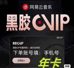 【人工在线直充货发兑换码s】网易云音乐黑胶VIP会员一年