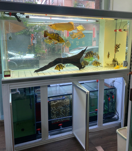 2米鱼缸 带老鱼匠造浪泵no1滤材老鱼匠水泵温度计 开缸成本