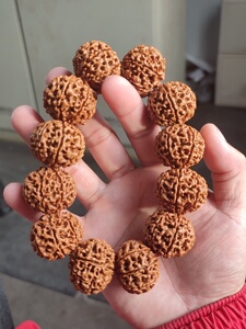 落地红金刚八瓣