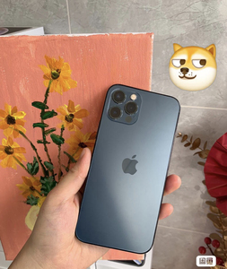 009人付款淘宝急售苹果12promax 256g金色 走平台验机支持平台验tb