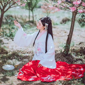 山樾眠 / 山有木兮原创汉服明制绣花一片式马面裙5.5米摆