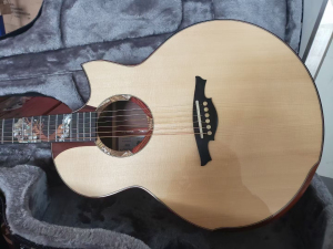 楚门万物 极光 万物生长现货一支 高端大师琴 全单吉他全新正