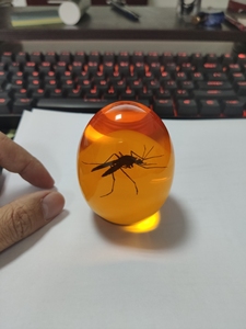 蚊子琥珀侏罗纪