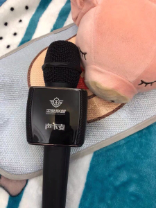 杨姣全能麦声卡麦