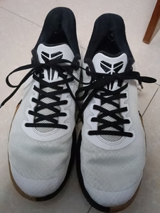 科比支线球鞋 43码 680入手 轻微磨损 只有鞋内后脚跟被