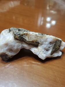 戈壁鸡骨石,这块通体白底,玉化很好,似趴在主人身旁的狗狗,少