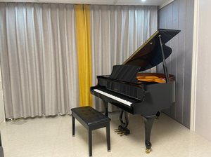 珠江里特米勒gp148三角钢琴,148cm小三角,个人家用