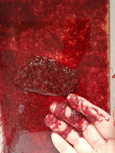 冷冻红虫线虫血虫喂鱼饲料自家鱼房自用红虫小母虫 每周来新货