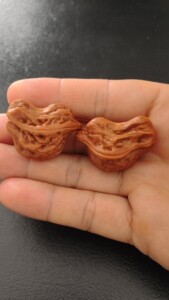 夜闯敬老院淘宝冉柔葫芦核桃文玩核桃手异形官帽型核桃小鸟畸形核桃