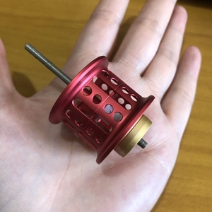 17大蜘蛛微物线杯